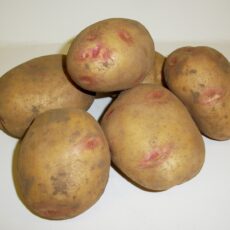 5015882242184 1 Kestrel Second Early Seed Potatoes 2kg.JPG